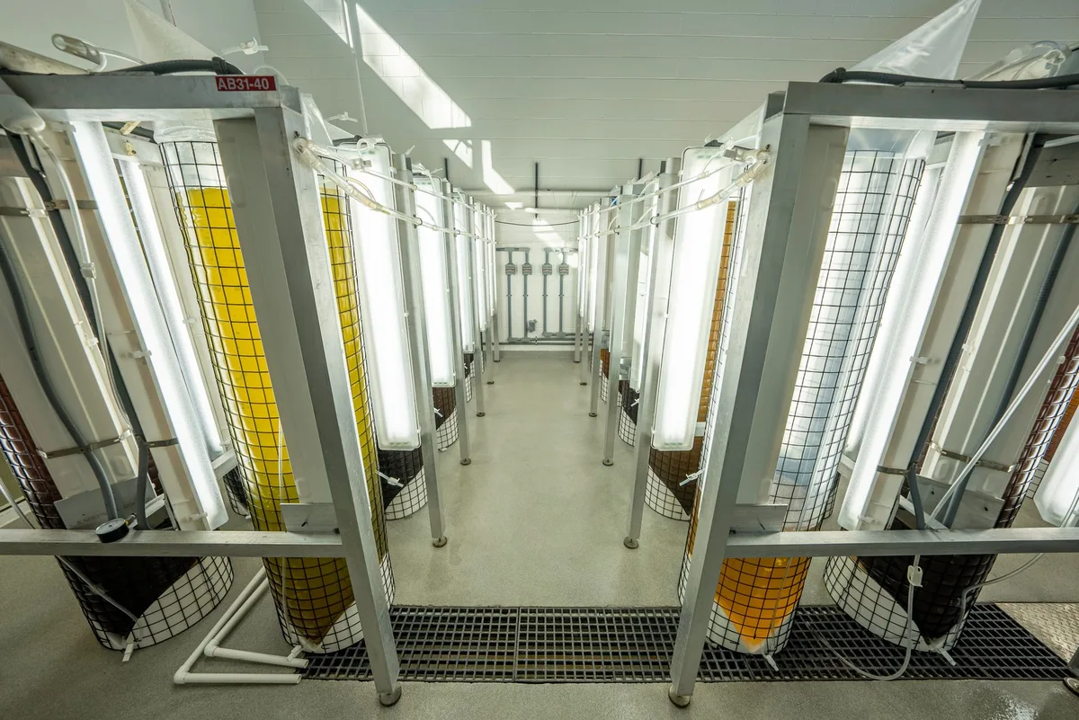 Clean room doors vs standard industrial doors comparison in high technology facility