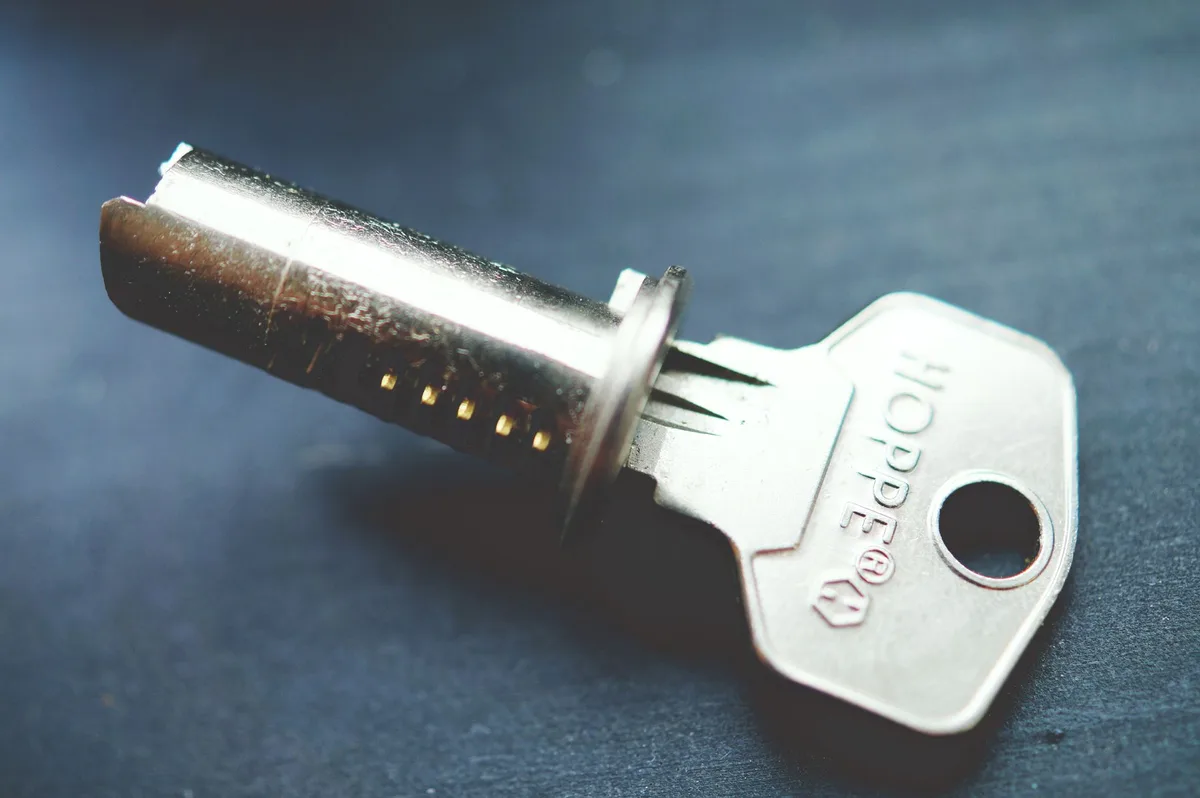 آلية مُغلق باب الغرفة المعقمة فوق الرأس الهيدروليكي المخفي (المصدر: ملف هندسي من Raxdoors)