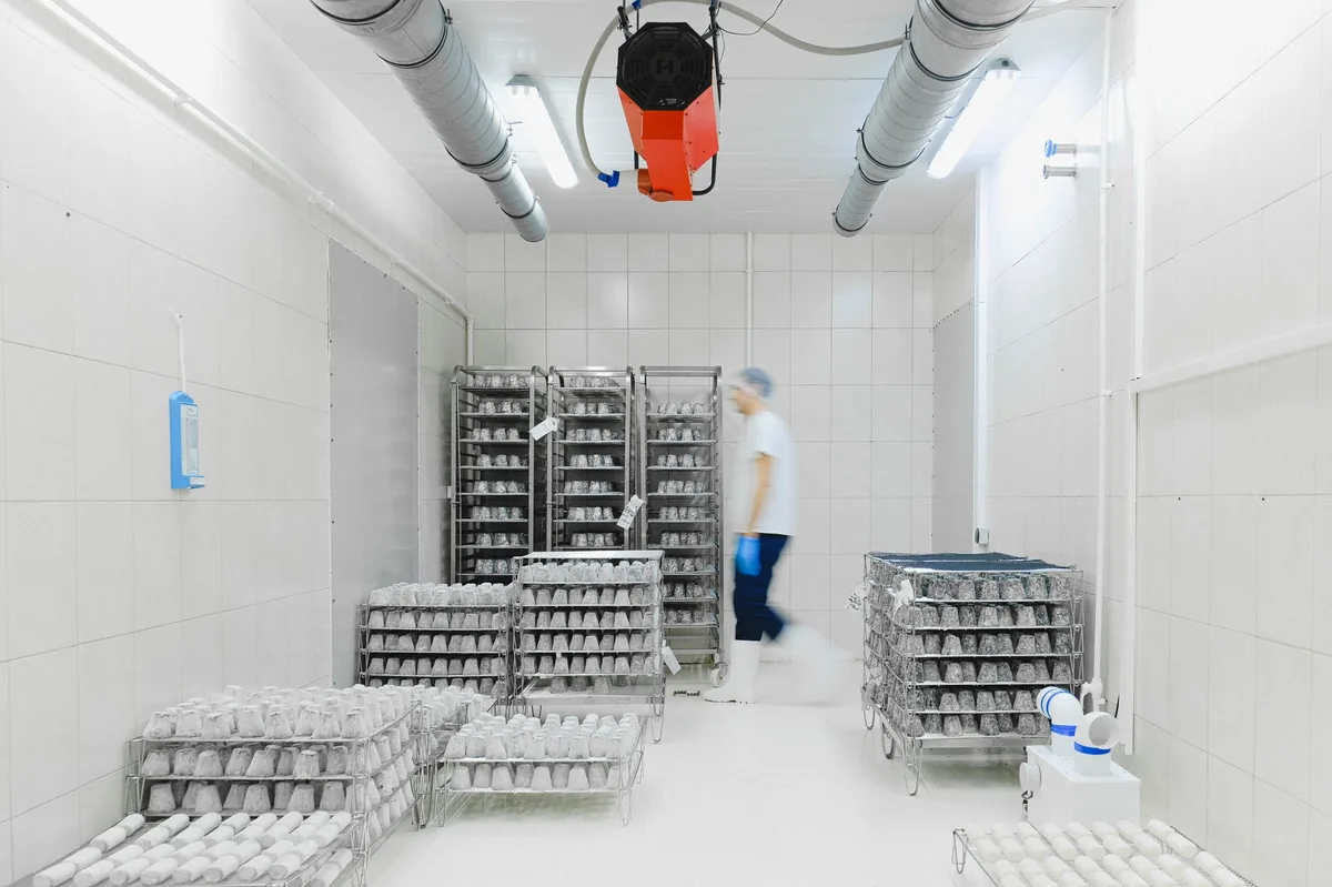 Apertura de una instalación aislada de almacenamiento frigorífico diseñada para el control de temperatura